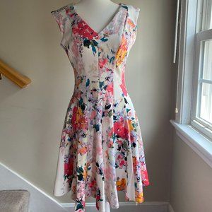 Sleeveless v-neck fit and flare with white backing and floral print, pockets